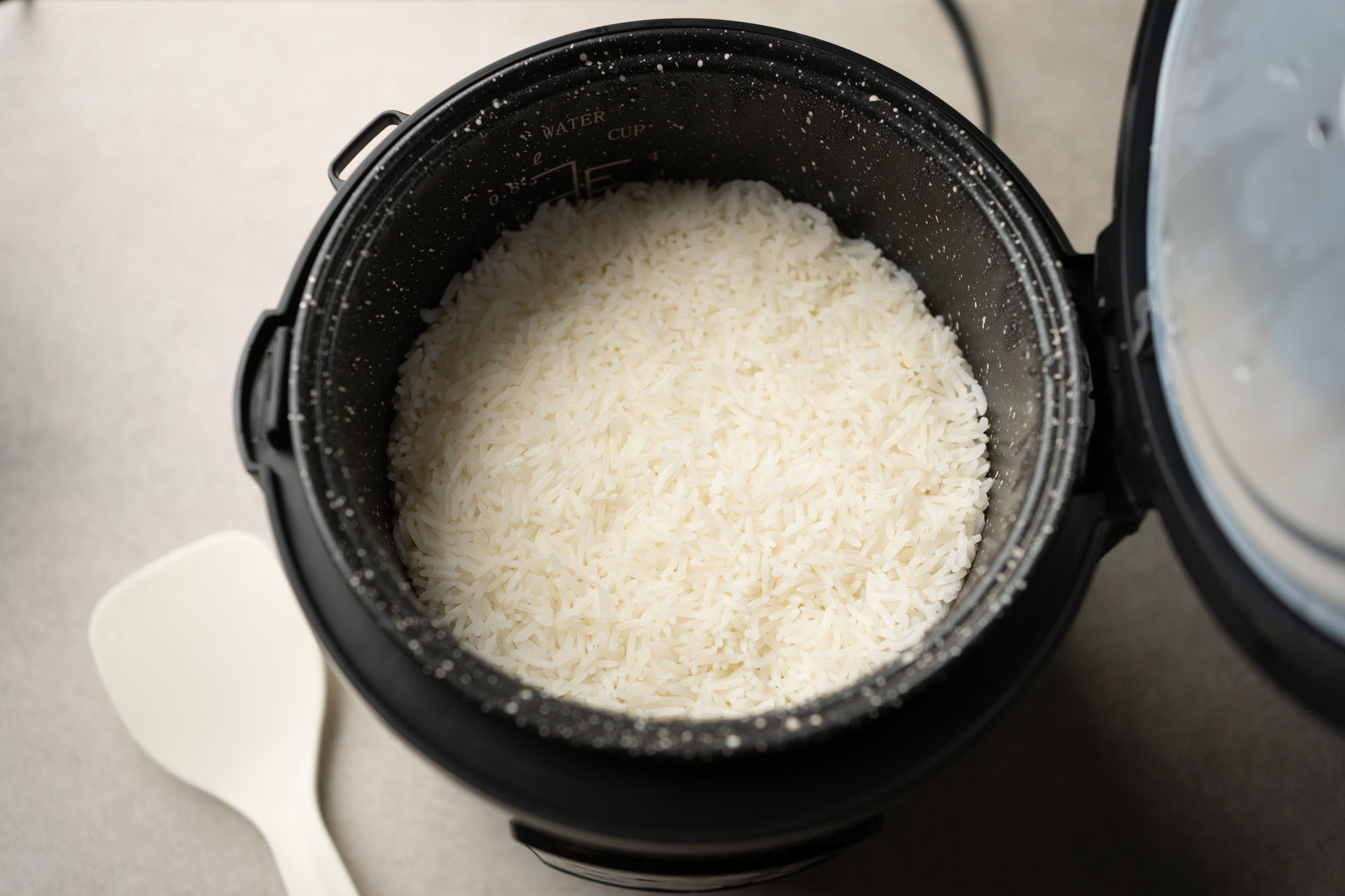 mini aroma rice cooker recipe｜TikTok Search