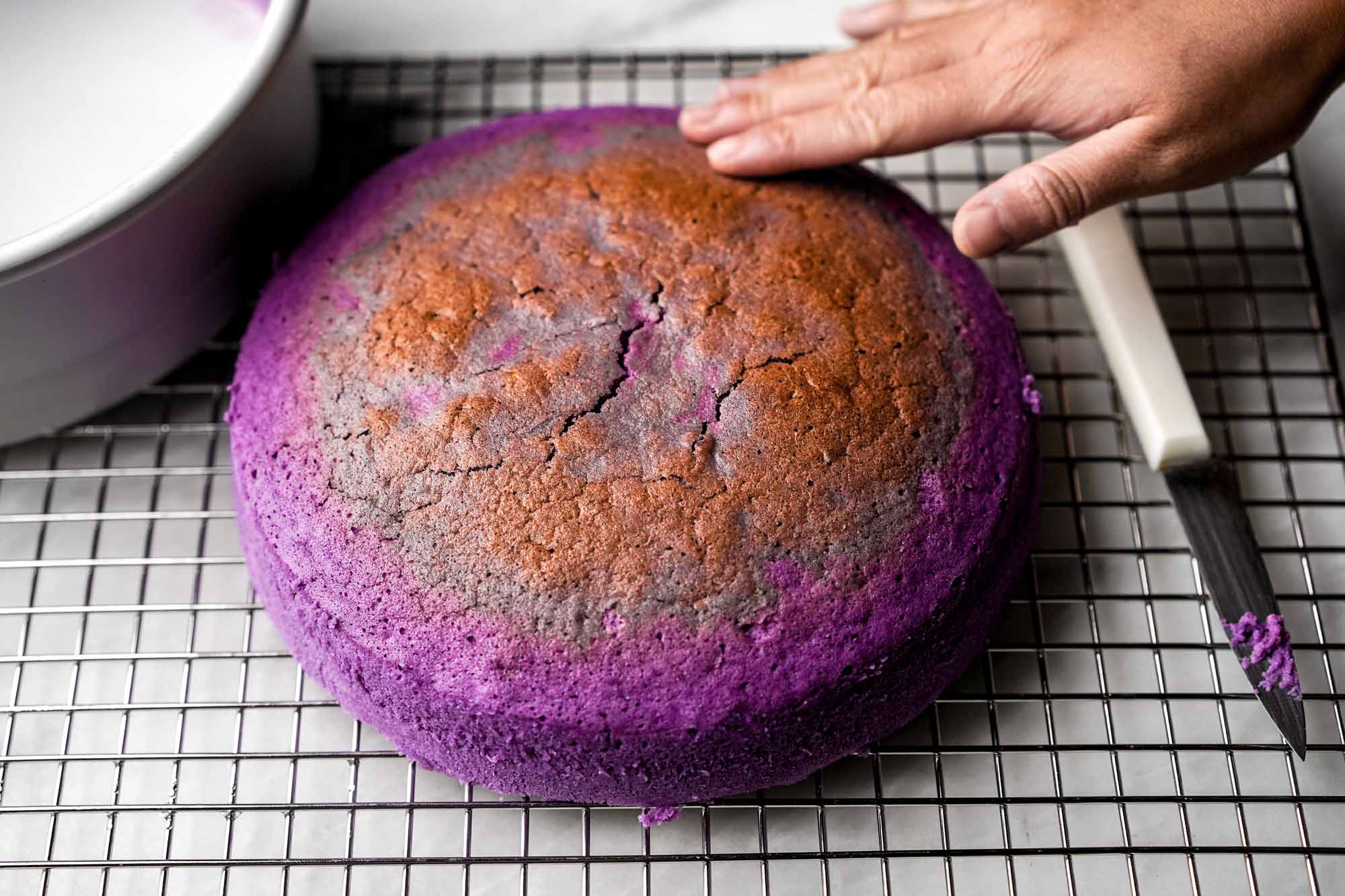 💕Mini Cake 💕] Elegant Purple Cake with a Golden Drip: Cake Decorating -  YouTube