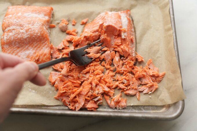 flaking salmon with a fork