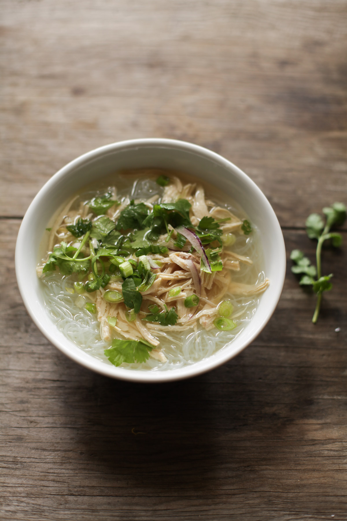 bowl of Vietnamese mien ga soup: shredded chicken, chicken broth, chopped cilantro and onion