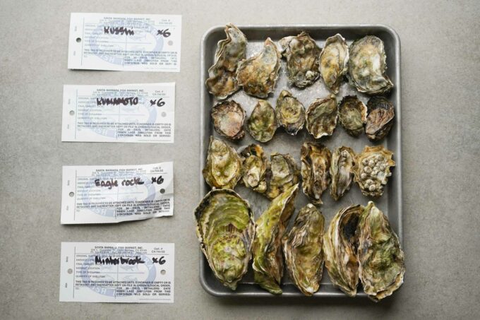 How to Shuck Oysters Better: 5 Tips to Try Today — In A Half Shell