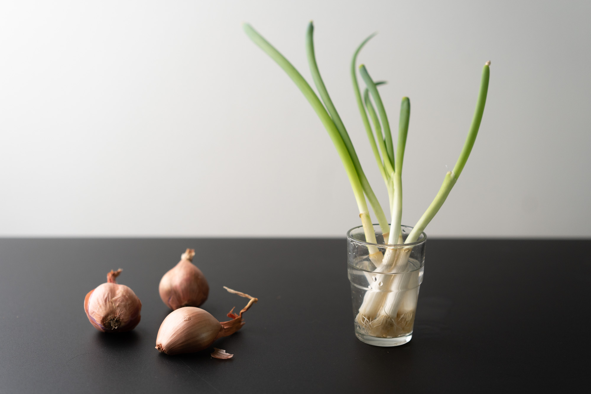 Shallots vs Onions: Differences, Similarities & When To Use Each!